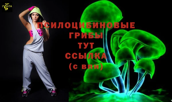 амф Алзамай