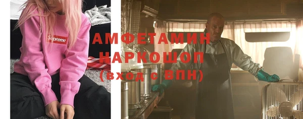 хмурый Алексин
