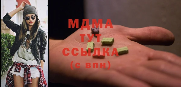 хмурый Алексин