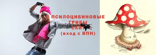 хмурый Алексин