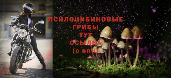 хмурый Алексин