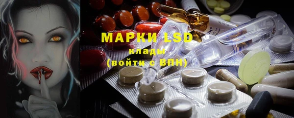 хмурый Алексин